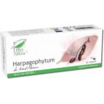 Harpagophytum, 30cps - MEDICA