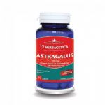 Astragalus, 500mg, 60cps si 30cps - Herbagetica 30 capsule