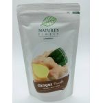 GHIMBIR PUDRA, ECO-BIO, 100g - Nutrisslim
