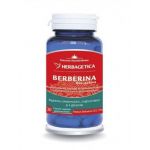 Berberina Bio-Activa, 60cps si 30cps - Herbagetica 30 capsule