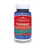 Berberina Bio-Activa, 60cps si 30cps - Herbagetica 60 capsule