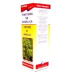 Tinctura de Angelica Favisan, 50 ml