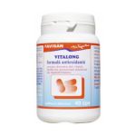 Vitalong Formula Antioxidanta Favisan, 40 capsule