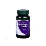 DVR-Stem Articular DVR Pharm, 60 capsule