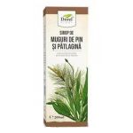 Sirop de Muguri de Pin si Patlagina Dorel Plant, 200ml