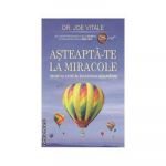 Asteapta-te la miracole -carte- Vitale Joe - Adevar Divin