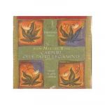 Carduri Cele patru legaminte -carte- Don Miguel Ruiz - Adevar Divin