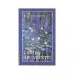 Cartea abundentei -carte- Price John Randolph - Adevar Divin