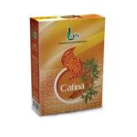 Ceai Catina Larix, 75g