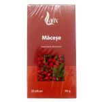 Ceai de Macese Larix, 20 doze