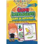 Jocuri pentru copii inteligenti. Carte de activitati +6 ani