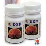 Ganoderma - Reishi Mushroom pulbere 22g - DXN Ganoderma