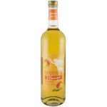 Vin de mango Zana verii, 750ml - Bayernwald