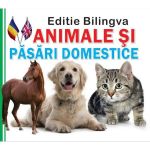 Animale si pasari domestice. Editie bilingva, editura Prichindel