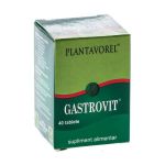 Gastrovit Plantavorel, 40 tablete