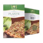 Ceai de Maghiran Stef Mar, 50 g