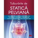 Tulburarile de statistica pelviana - Traian Enache, Ion Andrei Mueller-Funogea, editura All