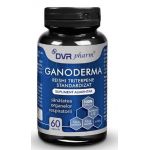 Ganoderma Reishi Triterpene Standardizat 60 capsule - DVR Pharm