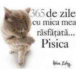 365 De Zile Cu Mica Mea Rasfatata... Pisica