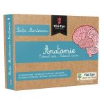 Lectii Montessori - Anatomie: Sistemul osos. Sistemul nervos