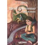 Micul solomonar. Vol.1: Lumea de dincolo - A.E. Miron, editura Letras