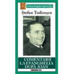 Comentarii la Evanghelia dupa Ioan - Stefan Todirascu