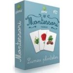 Montessori. Vocabular - Lumea plantelor