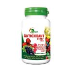 Antioxidant Ayurmed, 100 comprimate