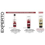 Oferta gama Experto Professional reparare si mentinerea culori 2 produse Cece of sweden ( sampon 400ml + balsam 250ml + masca cadou 200ml ) + CADOU
