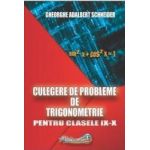 Culegere de probleme de trigonometrie - Clasele 9-10 - Gheorghe Adalbert Schneider