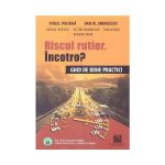 Riscul rutier, incotro? Ghid de bune practici - Virgil Vochina, Dan M. Andreescu, editura Niculescu