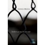 Intalniri pe muchie de cutit - Oana Orlea