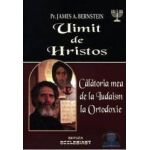 Uimit de Hristos - James A. Bernstein