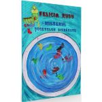 Misterul sosetelor disparute - Felicia Rusu, editura Cassius Books