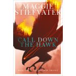Call Down the Hawk | Maggie Stiefvater