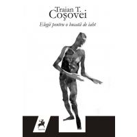 Elegii pentru o bucata de iaht | Traian T. Cosovei