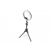 DIGITUS LED Ring Light 10', Stand (DA-20311)