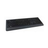 lenovo Lenovo 4X30H56841 tastaturi RF fără fir QWERTY Engleză SUA Negru (4X30H56841)