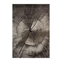 Covor Merinos, Ibiza 605 95, 160 x 230 cm, densitate covor 2.7 KG/m&sup2;, grosime covor 13 mm