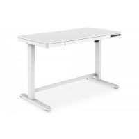 DIGITUS Electric height-adjustable Desk, 120x60x12cm top 50kg load, USB-charging ports, white (DA-90406)