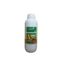 Ingrasamant Nutrifoliar One 1L Tip: 4:1:1 Engros