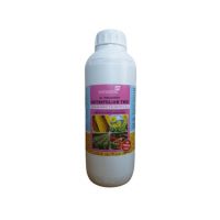 Ingrasamant Nutrifoliar Two 1L Tip 2:3:1 Engros