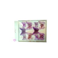​Set 10 fluturasi lila decorativi engros