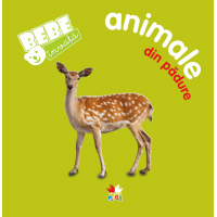 Bebe invata: Animale din padure | 