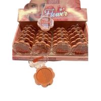 Pudra iluminator compacta 4024 en-gross