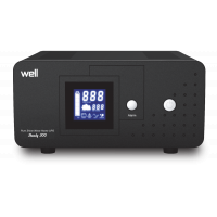 ups centrale termice steady 300va/180w, well