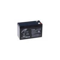 Acumulator plumb-acid 12V 9Ah Ritar