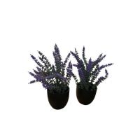 Aranjament floral Engros in ghiveci din plastic, 22cm