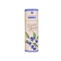 Balsam de buze cu aroma de coacaze Essential Botanics Fruits Accentra 5757555, 10 g Engros