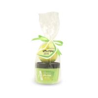 Set baie mini smoothie cu body scrub si bomba de baie cu aroma de pepene galben IDC Institute 98151, 100 ml Engros